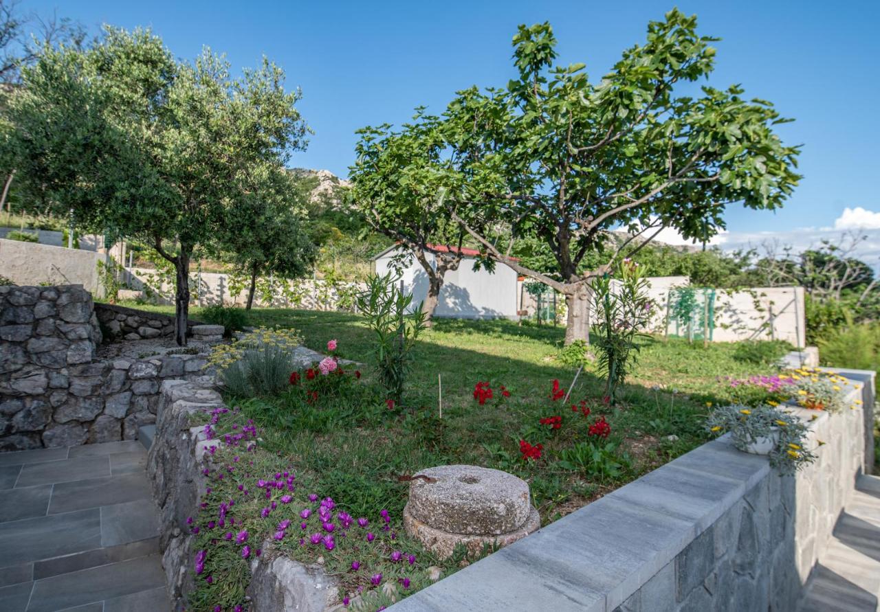 Villa Carmen Draga Bascanska Exterior foto